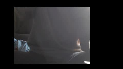 ital25usa online show from February 1, 6:01 am