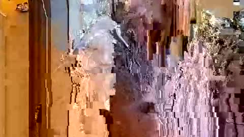 Snapshot of itsfoxie chatting on January 18, 4:49 am ItsFoxie online show from January 18, 4:49 am