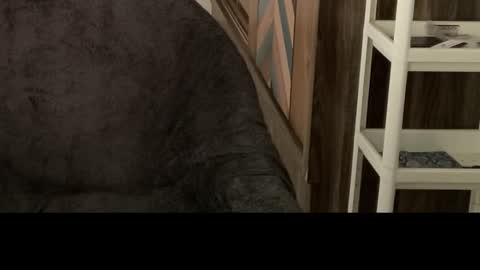 Raje online show from October 29, 5:42 am