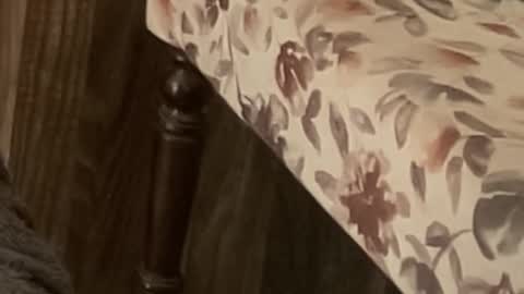 Raje online show from November 11, 10:59 am