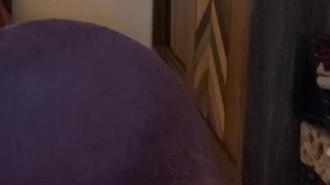 Raje online show from November 15, 4:03 pm