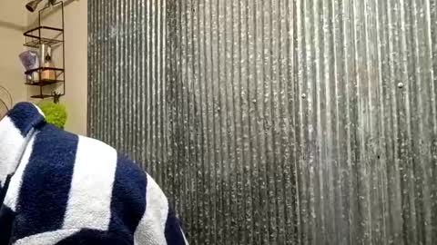 Snapshot of ittybittypritty chatting on November 15, 12:02 pm ittybittypritty online show from November 15, 12:02 pm