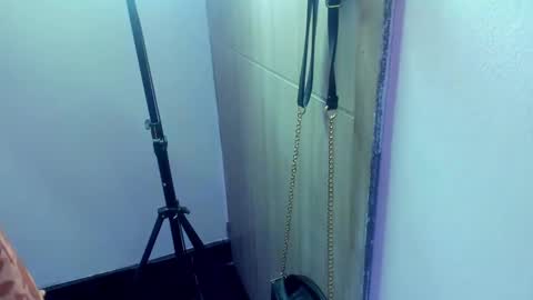 Diana Rojas  online show from February 4, 11:27 pm