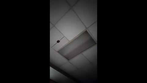 wonderbread online show from January 14, 11:49 am