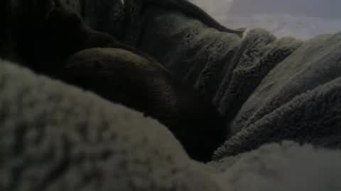 jackad44 online show from October 17, 6:32 pm