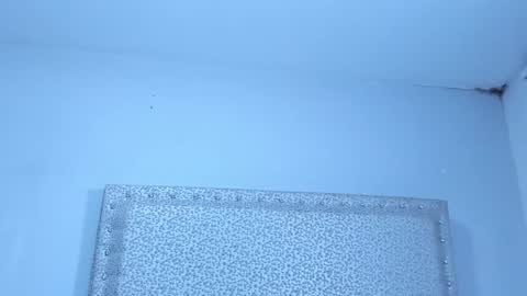 Jack White online show from January 25, 4:02 am