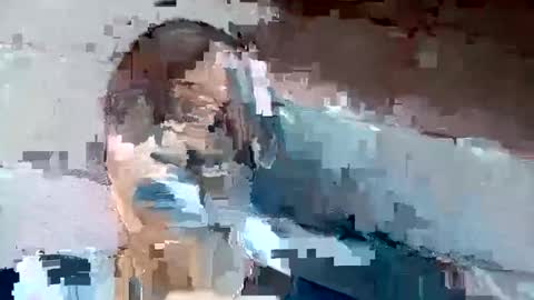 jackie petit online show from December 2, 1:24 pm