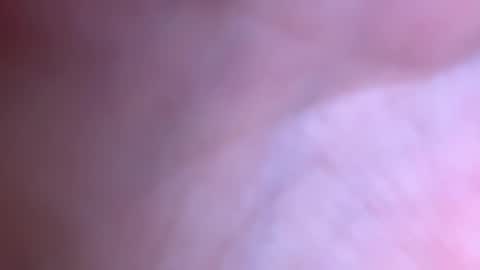 jackjackerman online show from December 2, 7:57 am