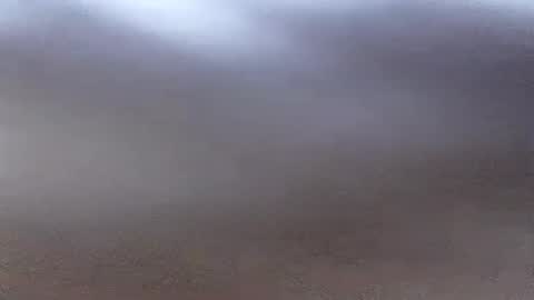 jacksonroy  online show from July 17, 11:53 pm
