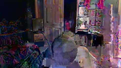 Jade online show from February 16, 10:50 pm