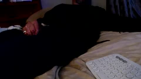 what you in too online show from December 2, 8:19 am