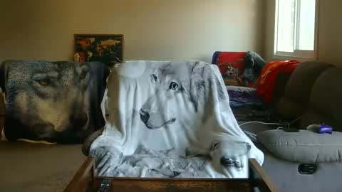 jameswolf777 online show from February 5, 8:57 pm