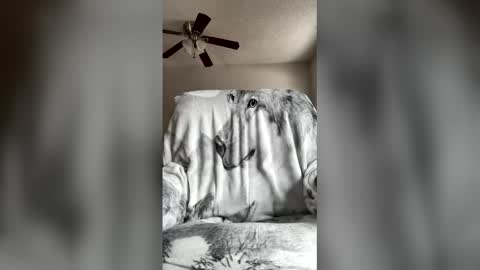 jameswolf777 online show from April 7, 7:03 pm