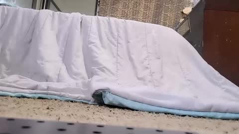 Bootyshows online show from February 20, 3:45 pm