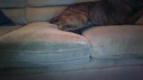 janks1963 online show from September 21, 4:47 am