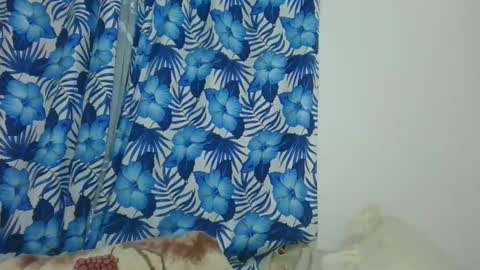 Snapshot of jarevavax chatting on February 12, 9:01 pm JarevavaX online show from February 12, 9:01 pm