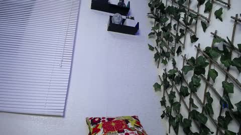 JKing  online show from January 24, 2:49 am