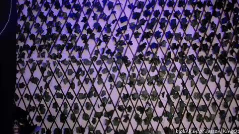 JKing  online show from September 11, 11:05 pm