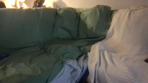 Snapshot of jaueo chatting on January 2, 4:30 am BBC FREAK Hoston TC online show from January 2, 4:30 am