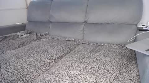 Javier  online show from December 5, 4:01 pm