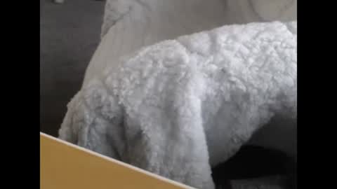 Snapshot of jayboo777 chatting on December 12, 5:04 pm sissy gurl online show from December 12, 5:04 pm