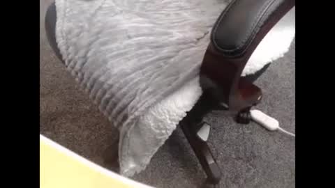 Snapshot of jayboo777 chatting on October 27, 10:14 pm sissy gurl online show from October 27, 10:14 pm