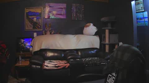 Grand Zaddy or Jay its casual online show from March 15, 5:13 am