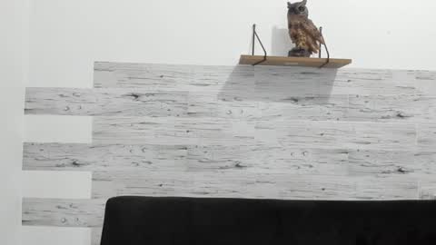 Jaycreedd online show from January 15, 2:38 am