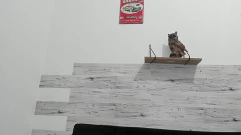 Jaycreedd online show from February 20, 4:39 am