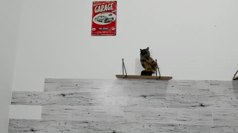 Jaycreedd online show from March 7, 4:46 am