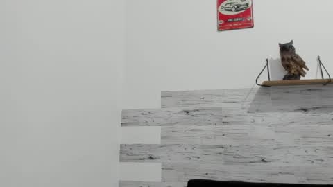 Jaycreedd online show from September 16, 11:50 pm