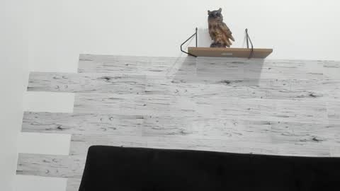 Jaycreedd online show from September 21, 12:12 am