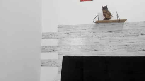 Jaycreedd online show from October 6, 2:53 am