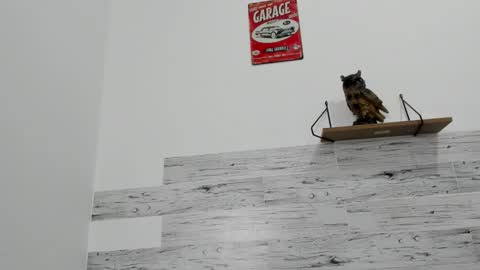 Jaycreedd online show from October 12, 10:09 pm