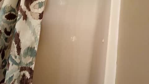 Snapshot of jaywulf22 chatting on November 4, 4:33 am jaywulf22 online show from November 4, 4:33 am