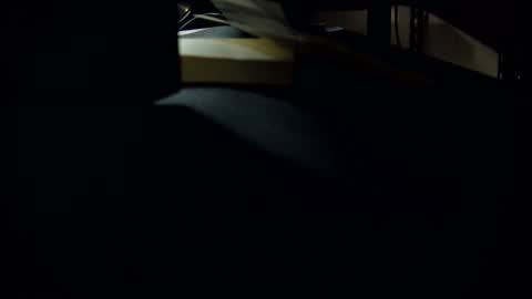 dookie online show from March 1, 10:24 am