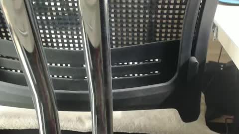 jc200000 online show from February 17, 6:37 pm