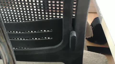 jc200000 online show from April 16, 5:25 pm