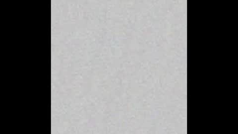 JcMax305 online show from September 11, 1:00 pm