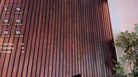     online show from January 23, 3:22 pm