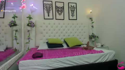 jenny_stark online show from November 14, 11:20 am