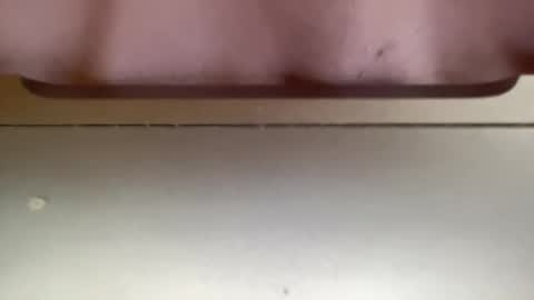 Snapshot of jerking1981 chatting on December 25, 5:37 pm jerking1981 online show from December 25, 5:37 pm