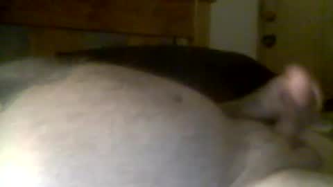 Snapshot of jerkmate6666 chatting on April 21, 11:49 am jerkmate6666 online show from April 21, 11:49 am