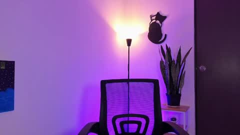 Jero Harper online show from April 12, 7:41 pm