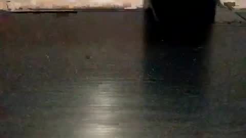 Jery online show from April 14, 6:47 pm