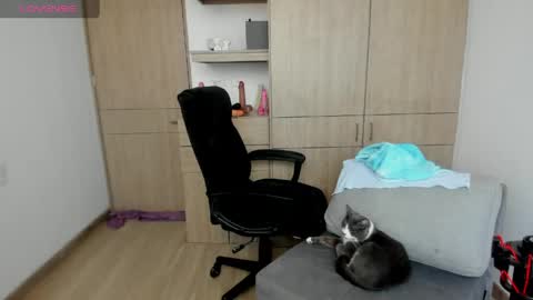 jessica_rabbit777_ online show from April 13, 9:09 pm