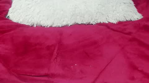 jessy online show from November 25, 12:43 am