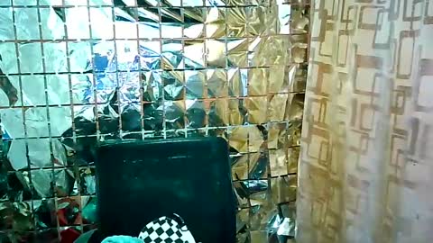 Ale online show from February 16, 1:16 pm