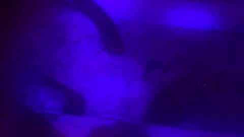 Snapshot of jfargo1990 chatting on February 8, 10:07 am Jessica online show from February 8, 10:07 am