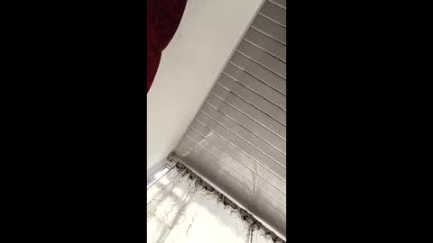 jhf1216 online show from April 19, 7:38 pm